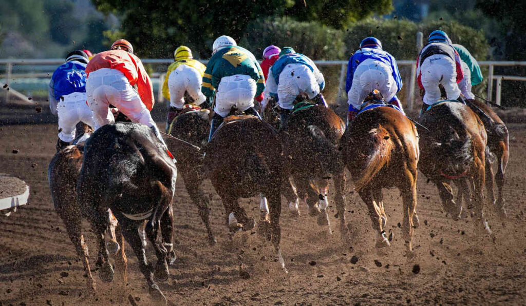 playing poker and betting horses