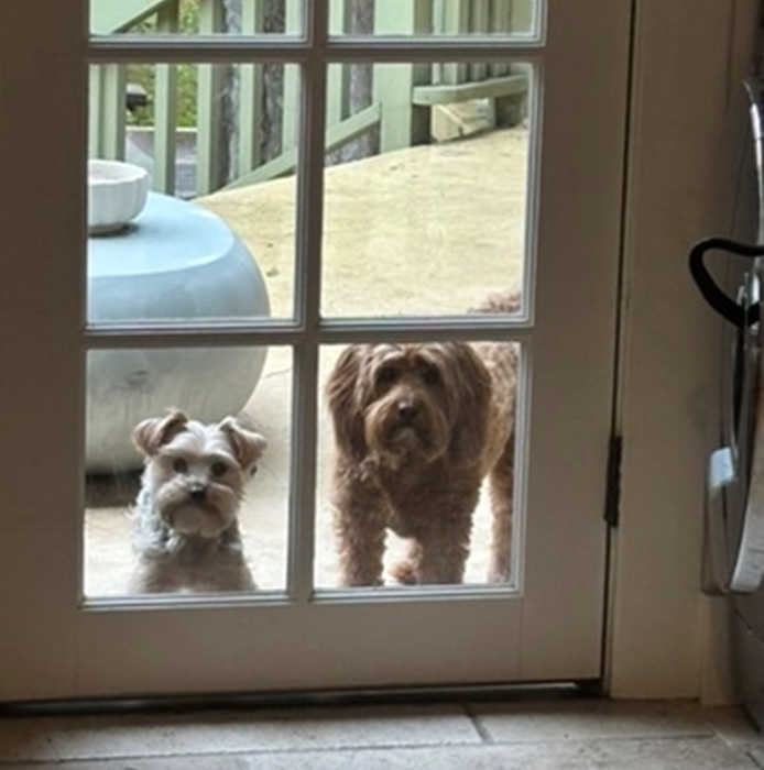 chuck sklar irish poker open main