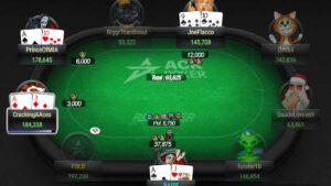 acrpoker tournament replayer